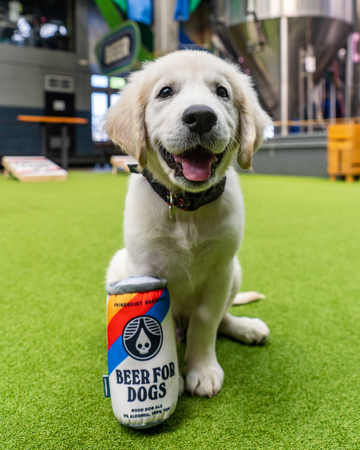 "Beer For Dogs" Plush Dog Toy