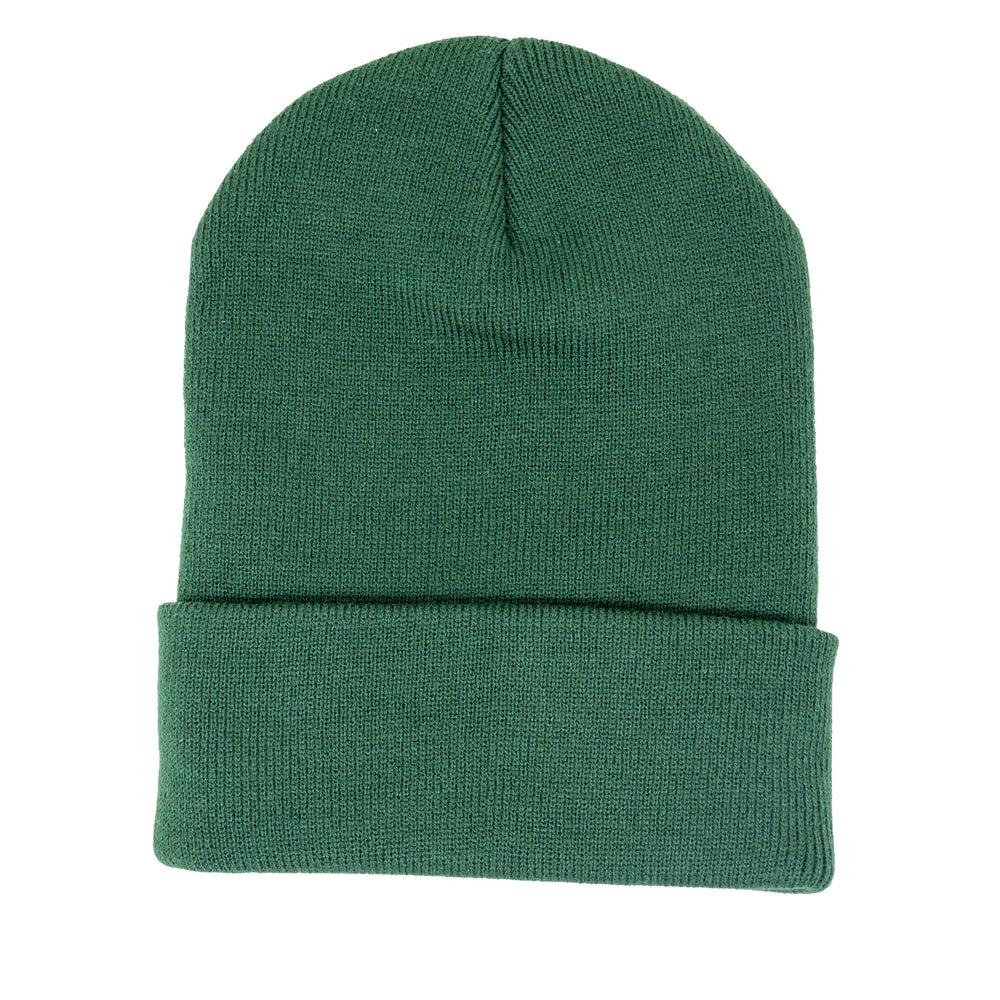 Rhinegeist Headwear Green Rhinegeist Patch Beanie